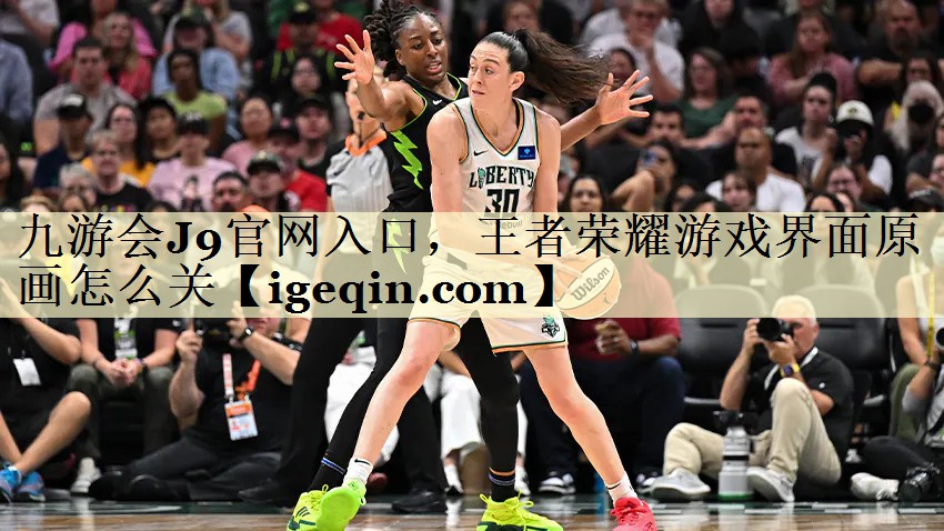 雷竞技raybet官网入口，王者荣耀游戏界面原画怎么关