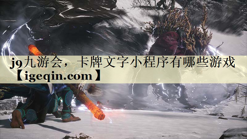 雷竞技raybet，卡牌文字小程序有哪些游戏